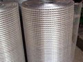 Welded Wire Mesh