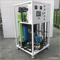 Brackish Water Treatment 750L/H with Compact design