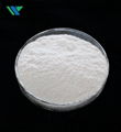 Hydroxypropyl Methylcellulose 1