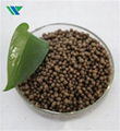 Diammonium Phosphate 1