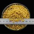 Diammonium phosphate DAP Fertilizer