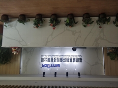 泉州市威林特进出口有限公司