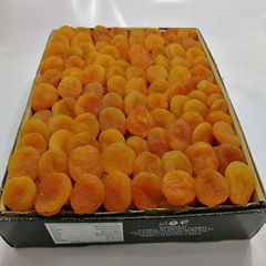 Apricot