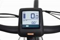 Highly sensitive LCD displayer  8FUN middle motor electric bicycle