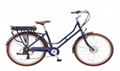  700C 28' inch 250w 36v 8fun mid drive motor city electric bicycle  4