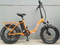 foldable electric bicycle 36v10ah 250w DC motor city ebike Lightweight electric  1