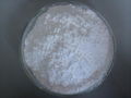 Calcium stearate 1