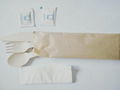 160mm Birch Wood Knife  Fork Spoon, Napkin Salt and Pepper Packed by Kraft Pap 1