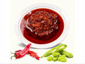 Chines condiment Sichuan pixian broad bean sauce with chili oil for cook