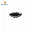 Cookware Pan Pot Majolica Brown Cast Iron Enamel Frit 301A 3