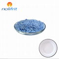 vitreous enamel coating service enamel coating oven enamel frit  4