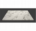 Calacatta Quartz Surfaces Black Veins 1