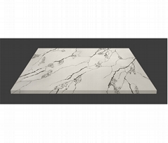 Calacatta Quartz Surfaces Black Veins