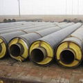 Steam Insulation Pipe 1