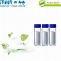 High quality WS-23 Cooling agent with factory price 4
