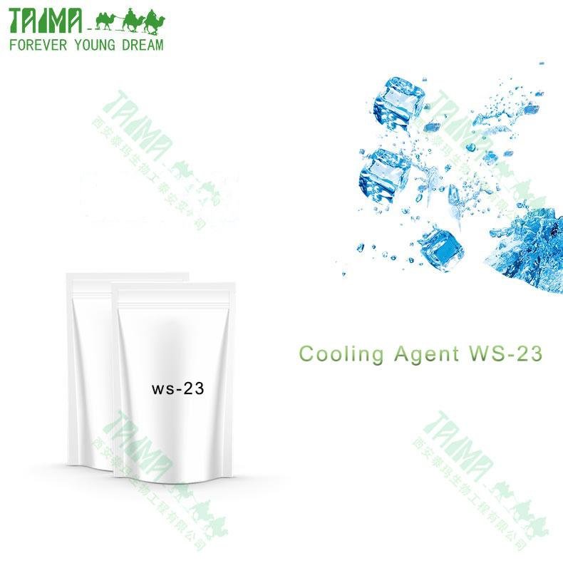 Strong and Lasting long Cool Feeling WS-23 powder Cooling Agent WS-23 for food