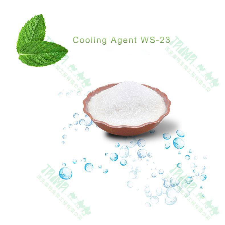 Strong and Lasting long Cool Feeling WS-23 powder Cooling Agent WS-23 for food 2