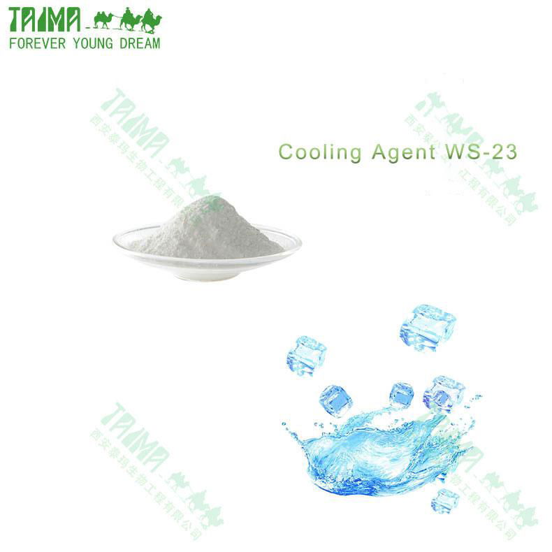 Strong and Lasting long Cool Feeling WS-23 powder Cooling Agent WS-23 for food 3