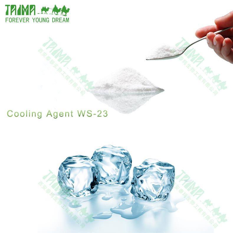 Strong and Lasting long Cool Feeling WS-23 powder Cooling Agent WS-23 for food 4