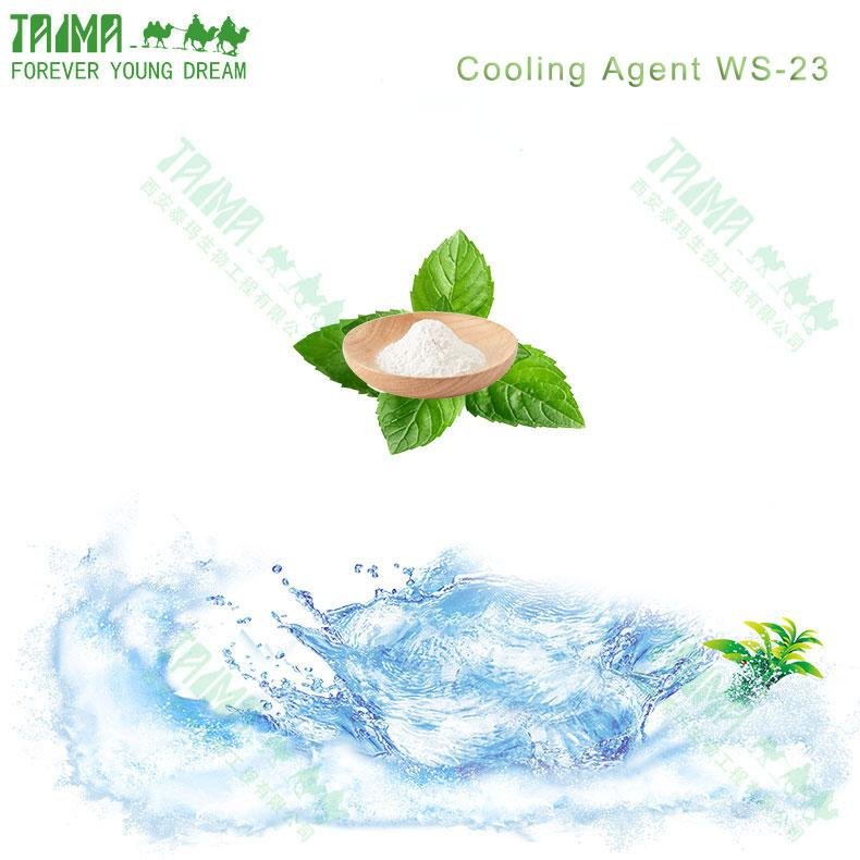 Strong and Lasting long Cool Feeling WS-23 powder Cooling Agent WS-23 for food 5