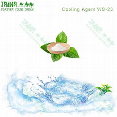 Xi'an Taima High quality Cooling agent
