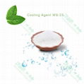 High quality cooling agent WS-3 for food,candy and beverage 2