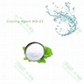 High quality cooling agent WS-3 for food,candy and beverage 3