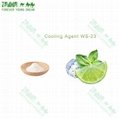 High quality cooling agent WS-3 for food,candy and beverage 5