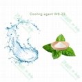 High quality WS-3 Cooling agent with factory price 2