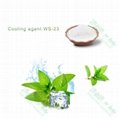 High quality WS-3 Cooling agent with factory price 3