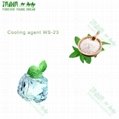 High quality WS-3 Cooling agent with factory price 4