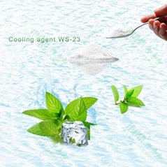 Factory direct hot selling high quality cooling agent WS-3 for food