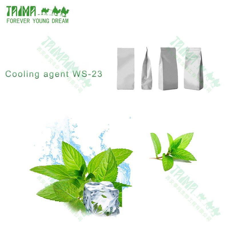 Factory direct hot selling high quality cooling agent WS-3 for food 2