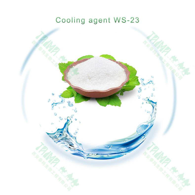 Factory direct hot selling high quality cooling agent WS-3 for food 3