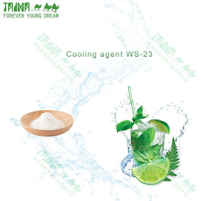 Food Additives Natural Flavoring Agents Cooling Agent WS-3