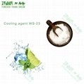 Food Additives Natural Flavoring Agents Cooling Agent WS-3 2
