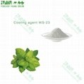 Food Additives Natural Flavoring Agents Cooling Agent WS-3 4