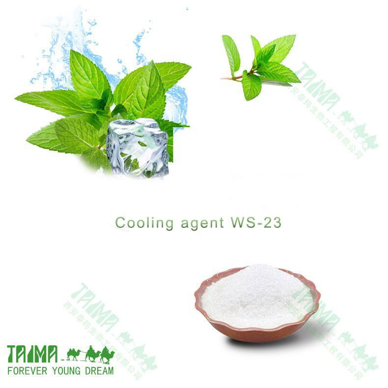 Cooling agent WS-3 coolada 5