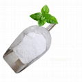 Strong and Lasting long Cool Feeling WS-3 powder Cooling Agent WS-3 for food 3