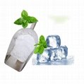 Xi'an Taima High quality Cooling agent WS-3 hot sell in Malaysia market 5