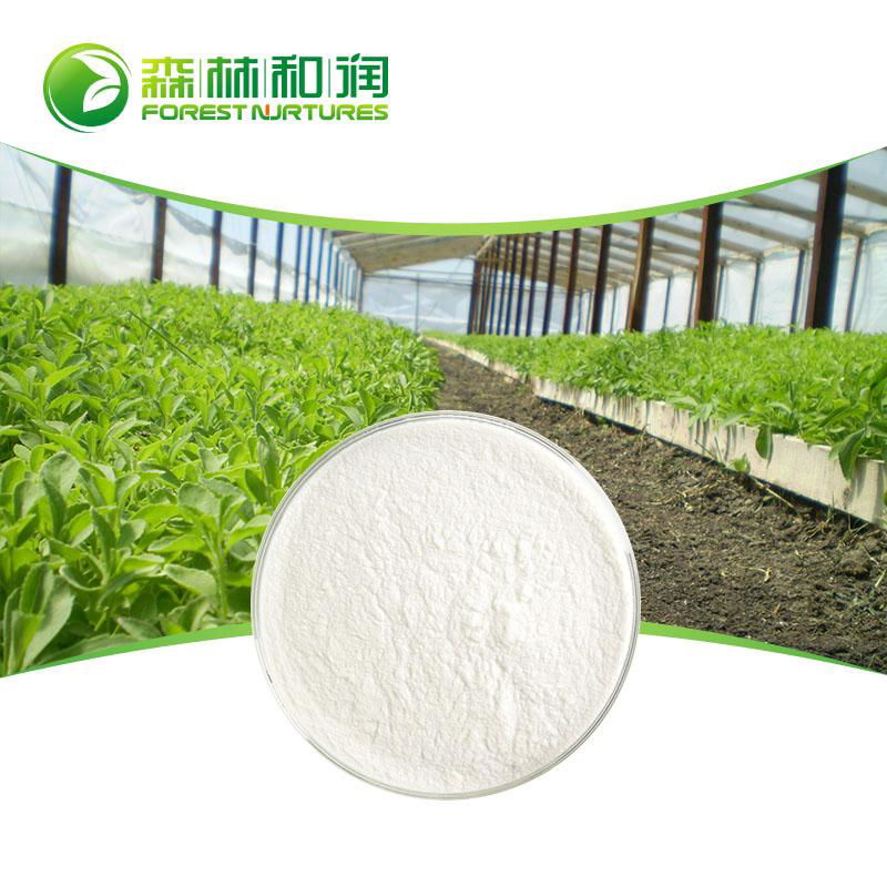 Organic Stevia Sugar SG 95 Stevia Leaf Extract Powder Goods In Stock 