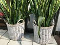 wicker baskets for potted plants 1