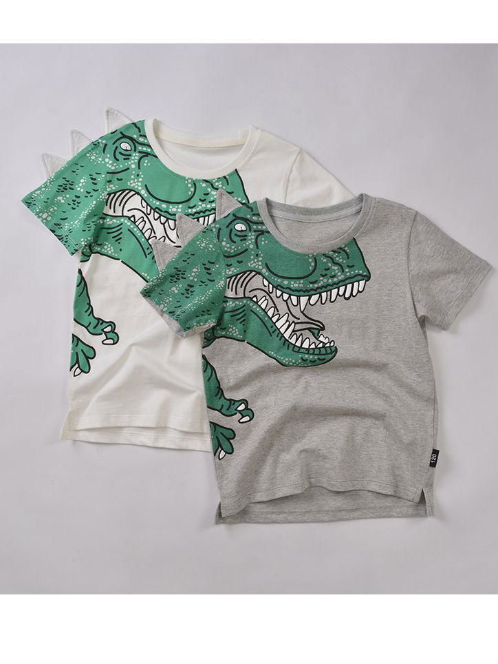 Toddler Big Boys Dinosaur T-shirt gray & white colors available