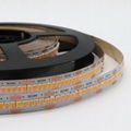 Built-in Constant Current IC 2835 LED Strip 300Leds