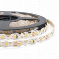 SMD2835 S-Shape Bendable LED Strip Light