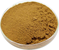 Polypodium Vulgare Extract Powder