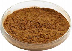 Ivy Leaf Extract 5%Hederacoside C