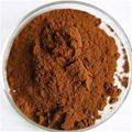 Pumpkin Seed Extract Powder 