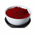 Mulberry Leaf Extract Powder 1