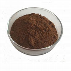 Sophora japonica  Extract Powder